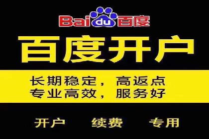 某知名品牌如何通过SEM服务提升转化率